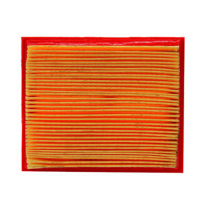 FILTRO DE AIRE CON PANEL – HONDA BROSS 125