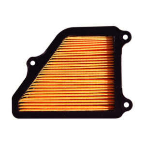 FILTRO DE AIRE CON PANEL – AX 110 4 TIEMPOS (CARCAZA PLÁSTICA TIPO ORIGINAL)